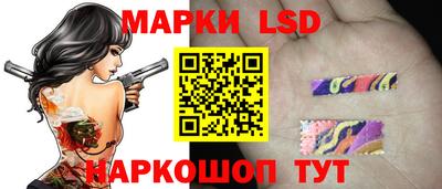 apvp Кимры