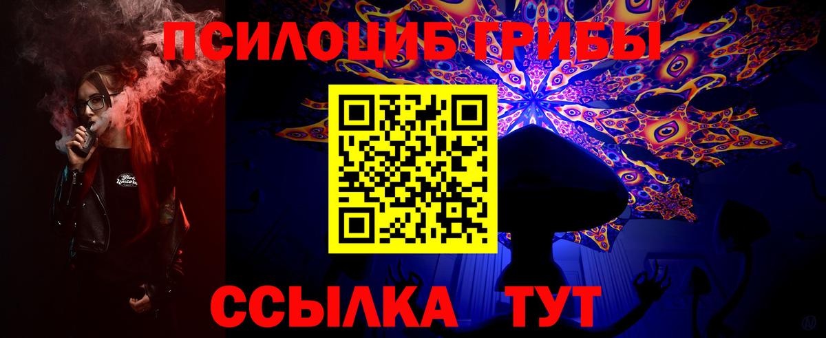 Псилоцибиновые грибы Cubensis  Вход с VPN  Красноярск 